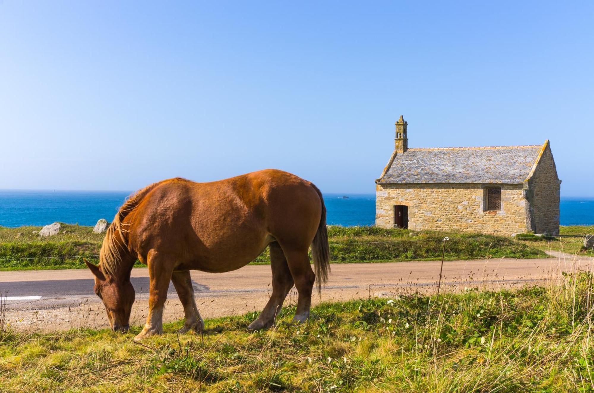 Ty Nevez - Jolie Maison Neuve Avec Petite Vue Mer Saint-Pabu  Esterno foto